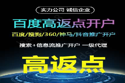 专业SEM服务托管方案案例分析