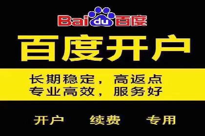 案例分析：托管SEM竞价助力电商旺季促销